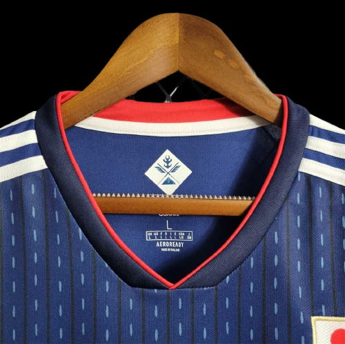 Japan 2018 (Home)