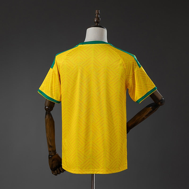 2026 World Cup South Africa (Home)