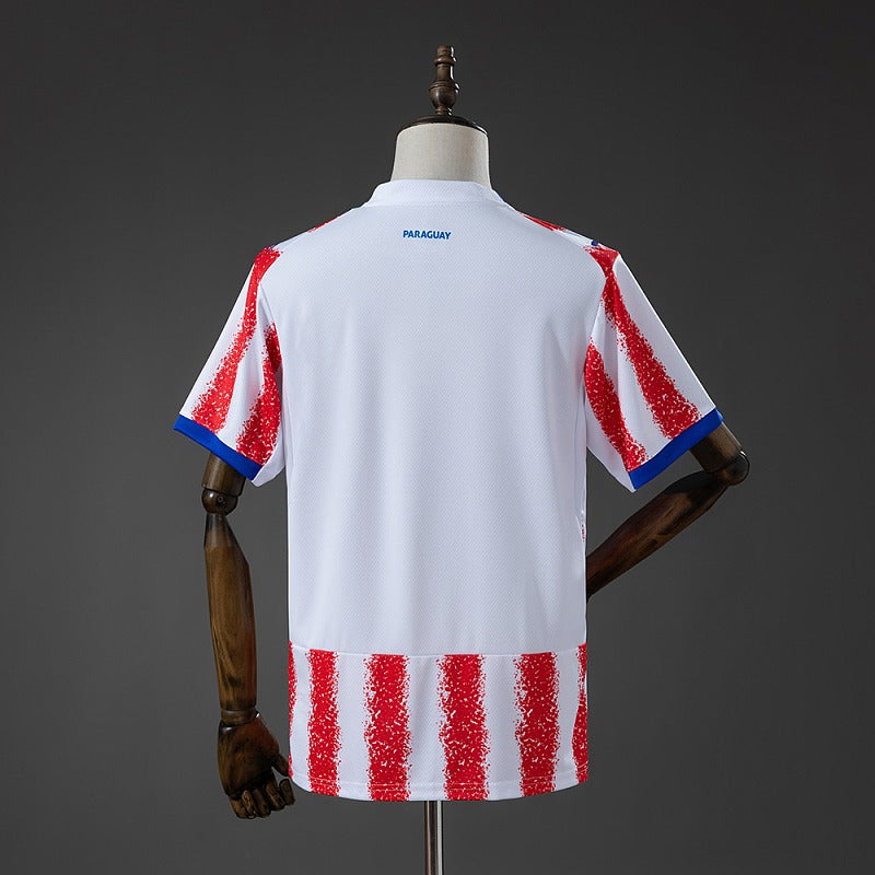 2026 World Cup Paraguay (Home)