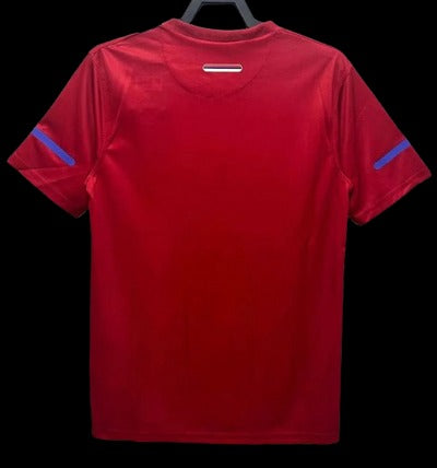 Serbia 2010 (Home)
