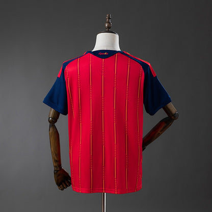 2026 World Cup Spain (Home)