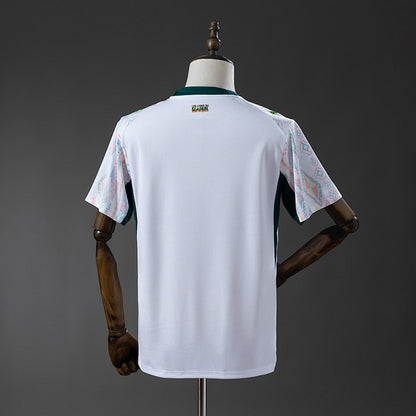 2026 World Cup Senegal (Home)
