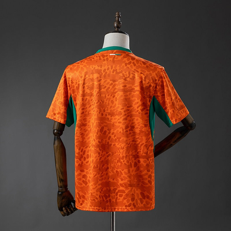 2026 World Cup Ivory Coast (Home)