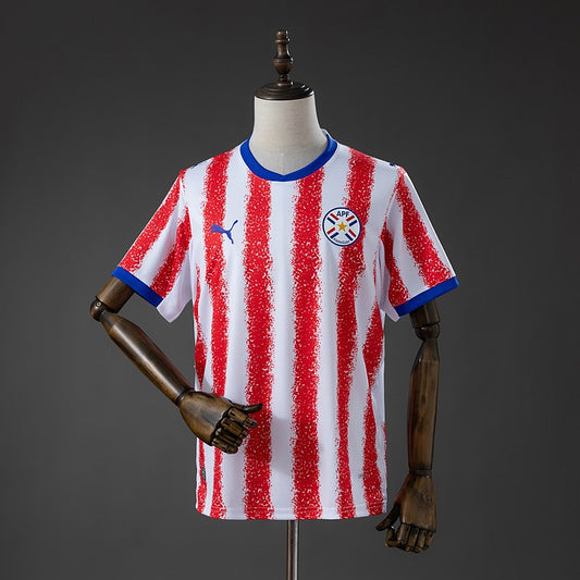 2026 World Cup Paraguay (Home)