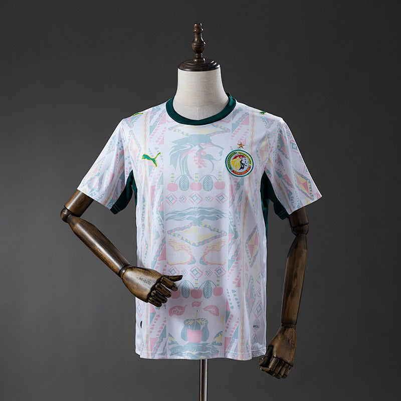 2026 World Cup Senegal (Home)